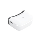 Walksnail Avatar HD Goggles L